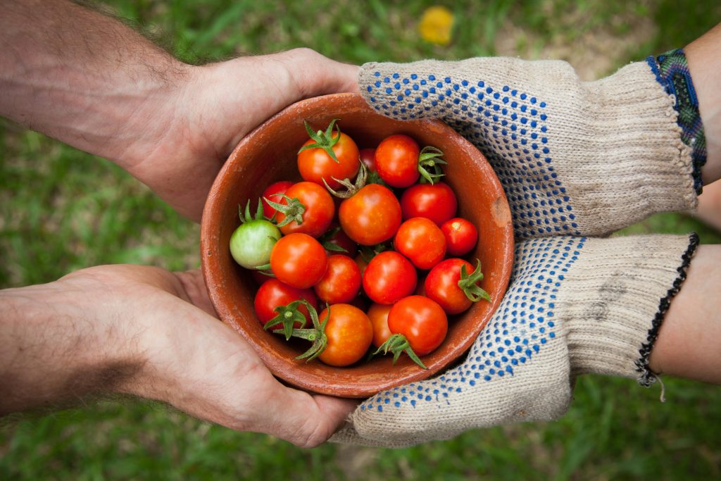 People Sharing Tomatoes
